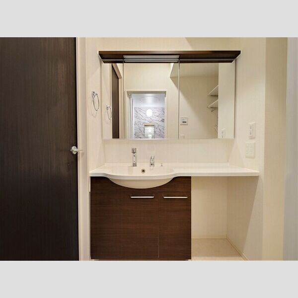 パレス国立 洗髪洗面化粧台