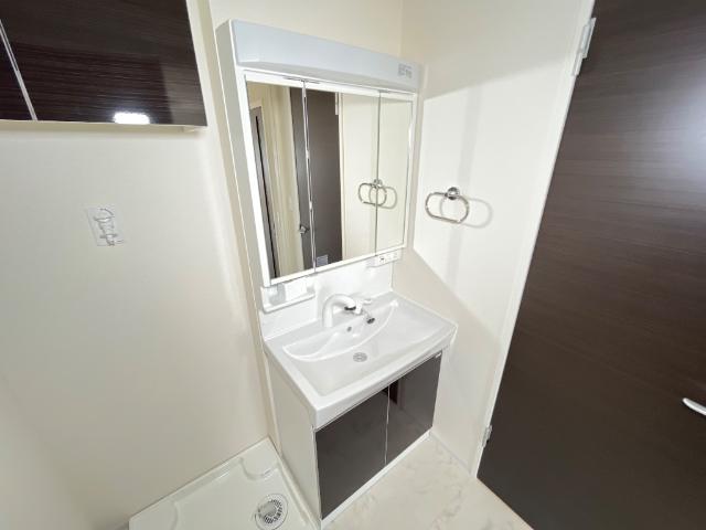 ヴィーナス（Ｖenus）301号室 洗髪洗面化粧台
