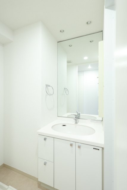 ガリシア新宿WEST 洗面