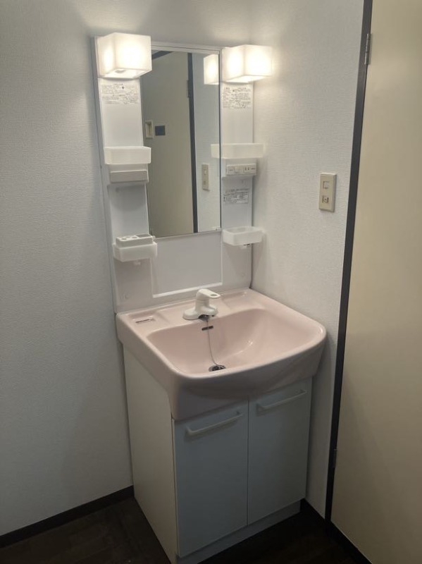 エクセレンツ青砥 洗面