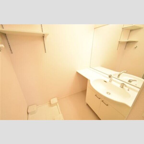 ファインフレッサ 洗面室