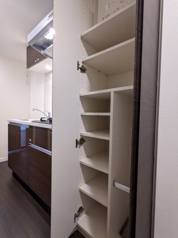 ケーディーエックスレジデンス豊洲617号室 収納