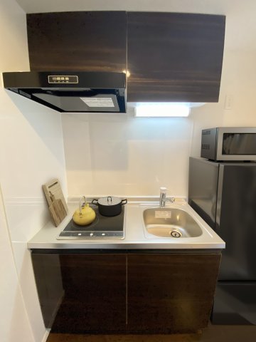 ベイルームグラン川崎301号室 同施工タイプ