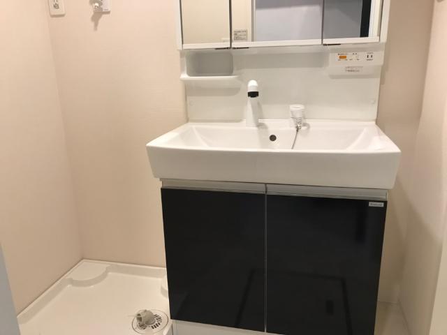 パークサイド大丸103号室 洗面