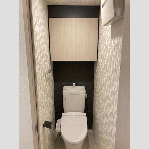 S-RESIDENCE両国緑603号室 トイレ