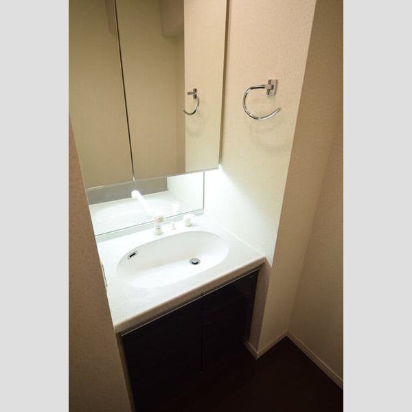 ロイヤルパークス西新井0327号室 洗面台