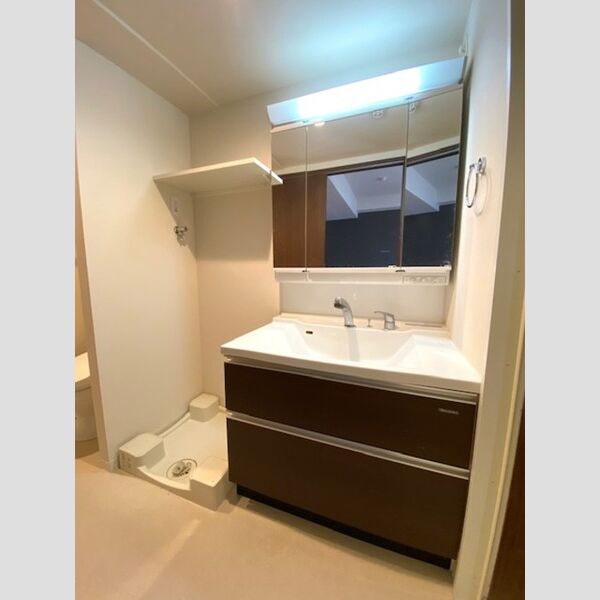 Hill Flat Osaki111号室 洗面室