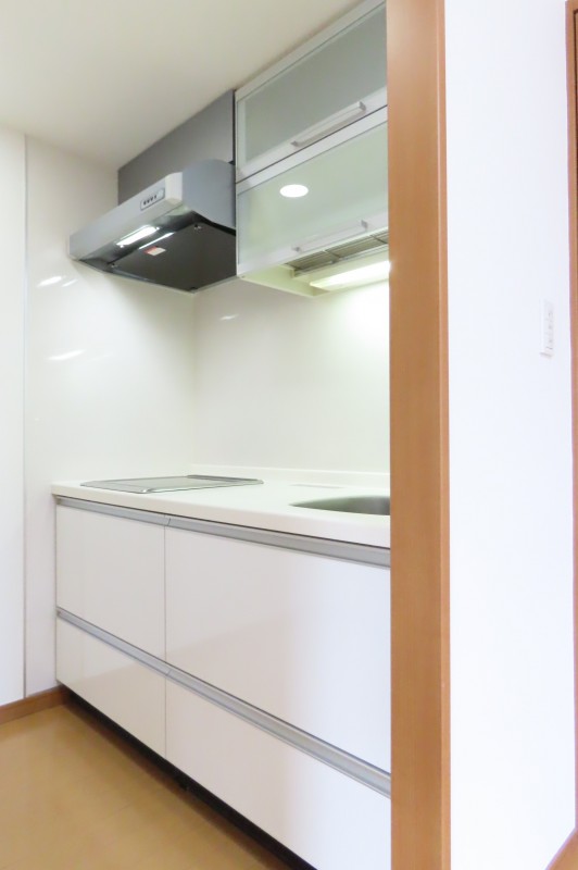 Duo Stage白金高輪6階 キッチン