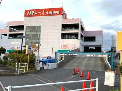 キャステル宮本1階 ロヂャース 越谷店