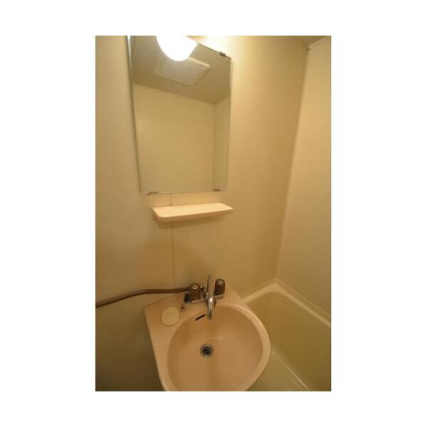 エステートピア三橋101号室 洗面