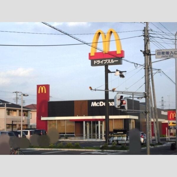 エーデル・ハイム103号室 マクドナルド17号籠原新堀店