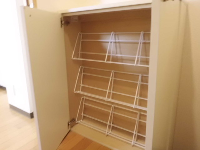 ルシオン0102号室 玄関