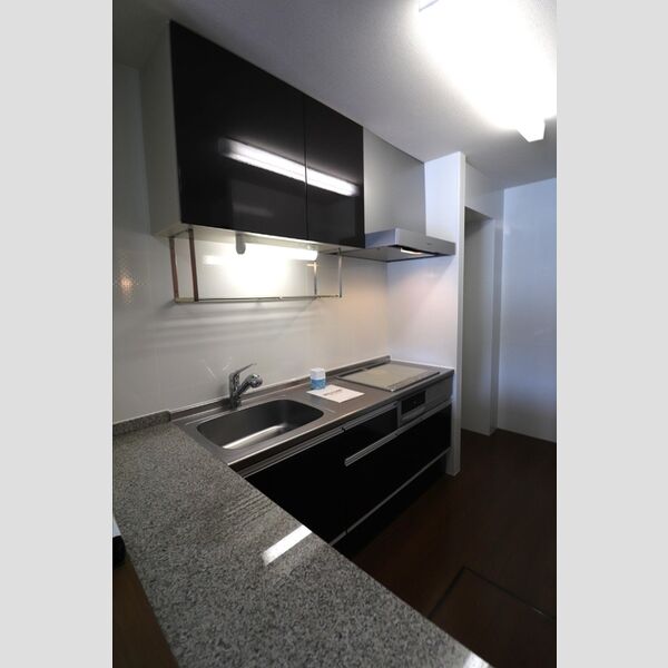 D-room与野公園　A103号室 システムキッチン