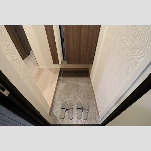 STELLA新松戸101号室 玄関