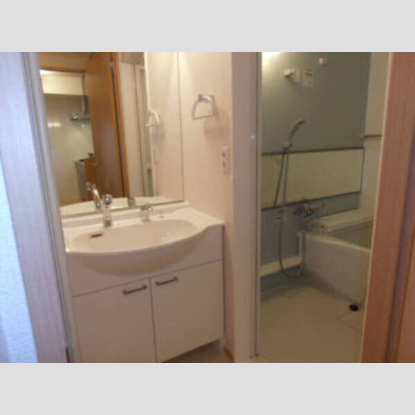 ディアコート高島平301号室 シャンプードレッサー