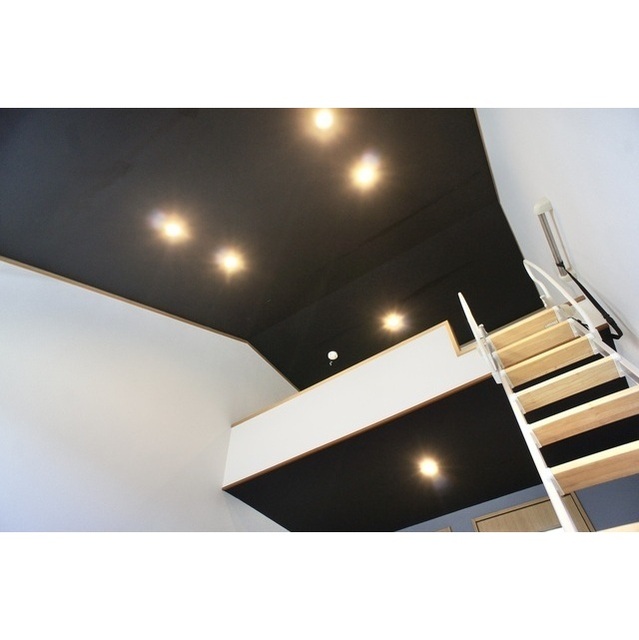 エルピス鵠沼203号室 ☆ダウンライト