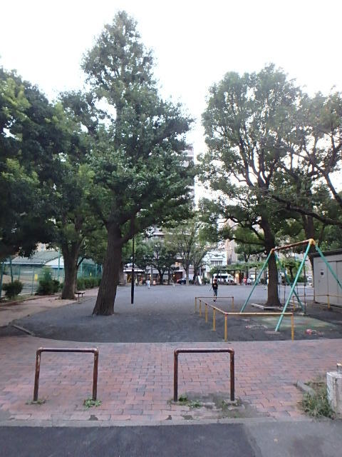 ガーラ・プライム川崎西口14階 公園まで216ｍ