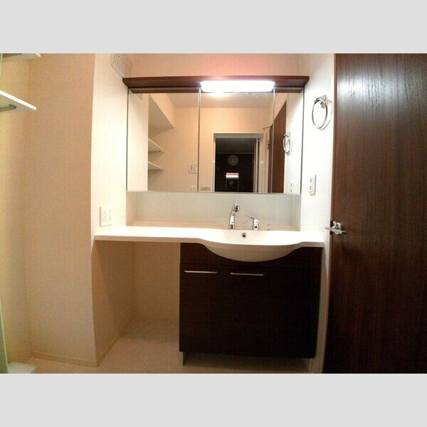 ソフィアウエスト306号室 洗面