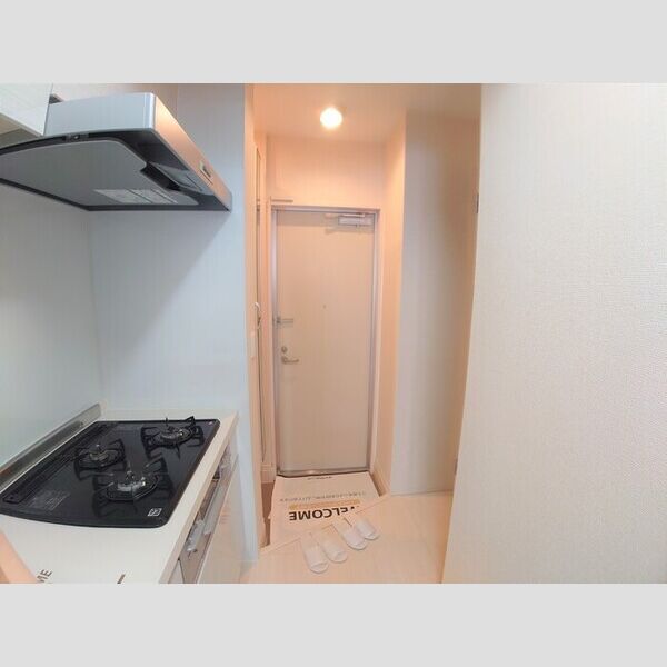 ルナマリア国立　A106号室 玄関