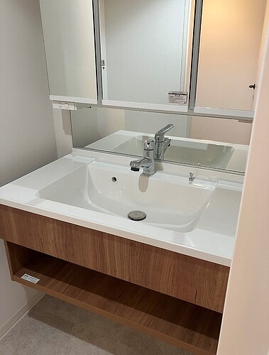 ライオンズマンション南浦和 洗面所