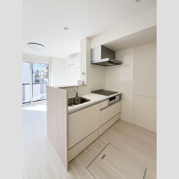 Dアヴァンス東柳田町103号室 キッチン