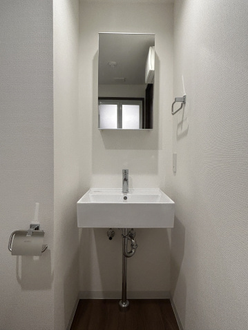 スカイラシクラス平和台202号室 洗面