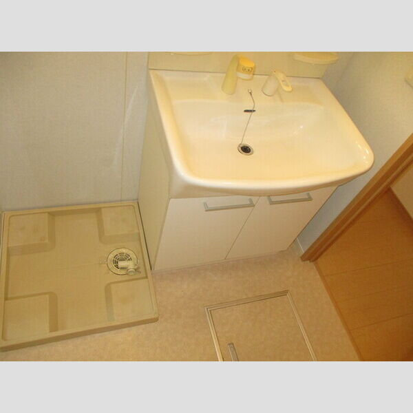 Carinopensee101号室 洗髪洗面化粧台・室内洗濯機置場