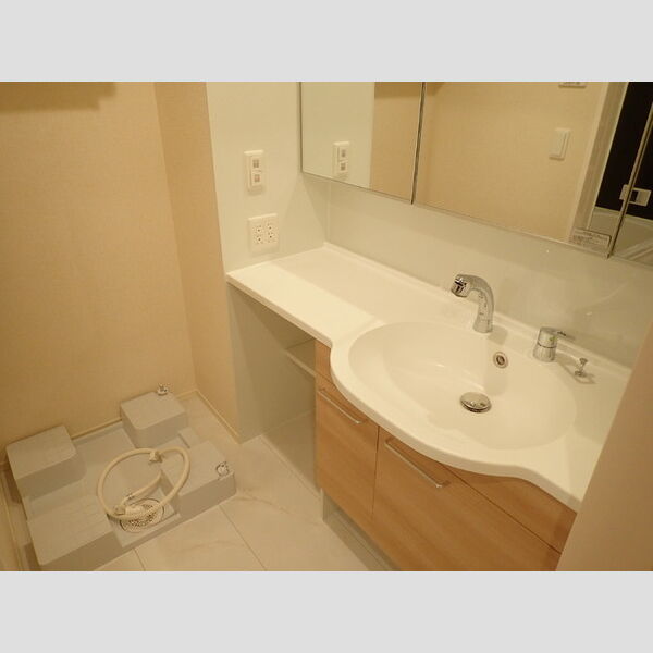 ブラン　ノワール多摩201号室 洗髪洗面化粧台