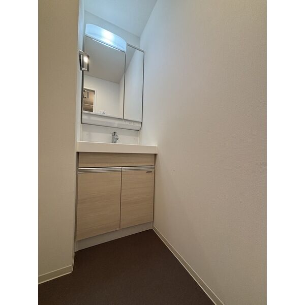 スプランディッド南千住601号室 洗面