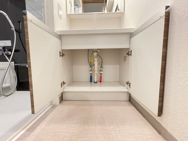 DIPS高田馬場駅前302号室 収納