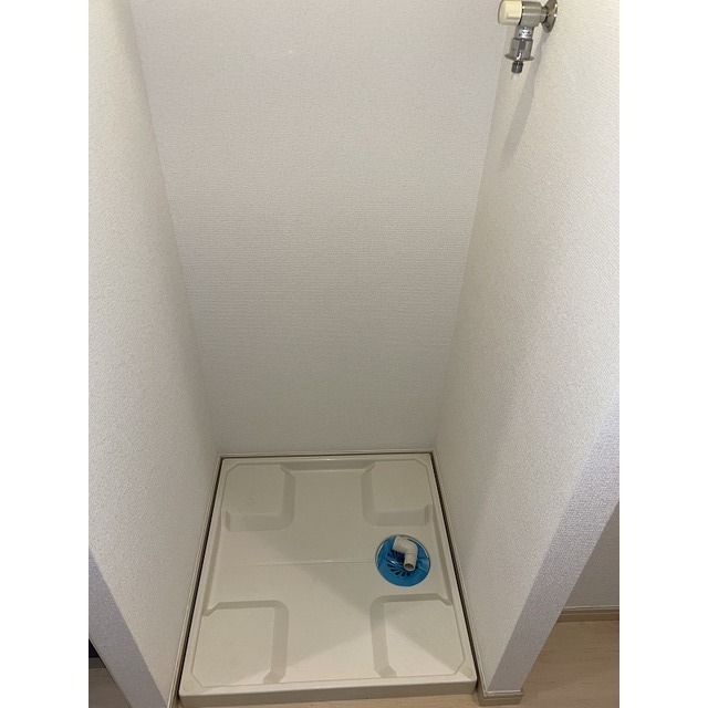 ライジングプレイス西新井603号室 洗濯機置場