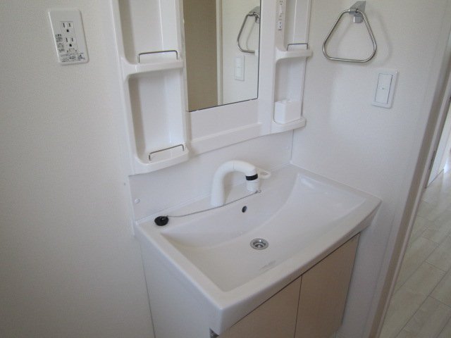 バード・ヴェール　(Ｂｉｒｄ・Ｖｅｒｔ)202号室 シャンプードレッサー