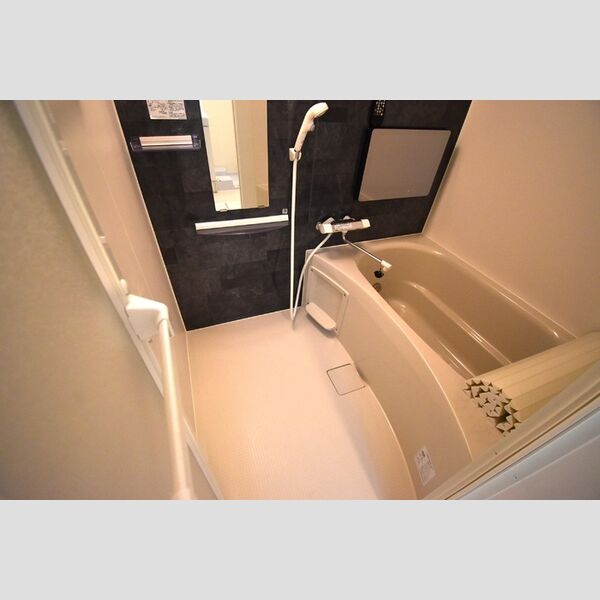 Dスクエア元本郷205号室 浴室