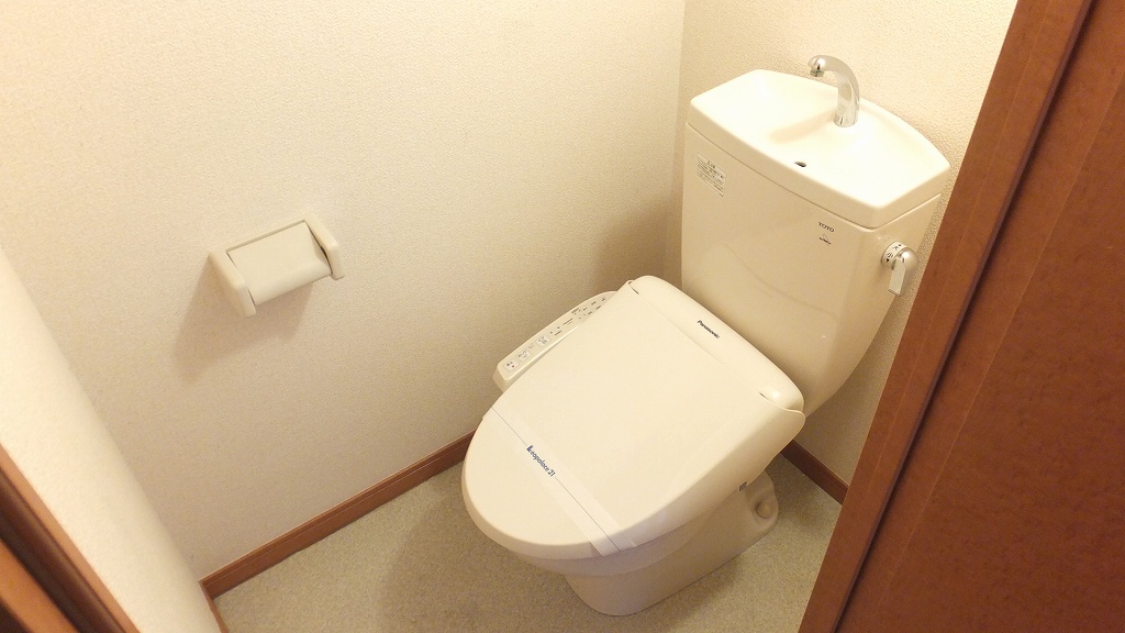 レオパレスイターナル208号室 玄関