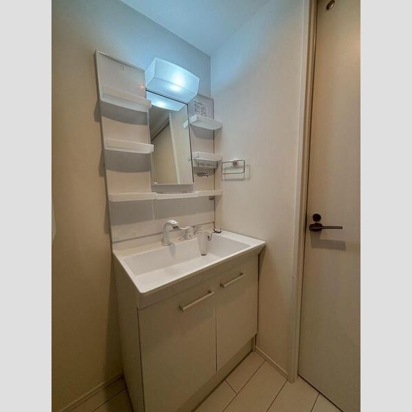 MAXIV CITY文京小石川501号室 洗面