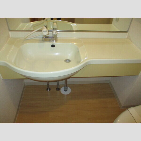 ノーベルパーク　15・16・1715-210号室 15-210(洗髪洗面化粧台)