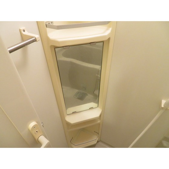 西川ビル0601号室 鏡