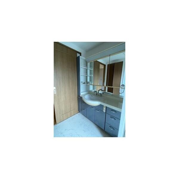 プレステージ田園調布401号室 洗面