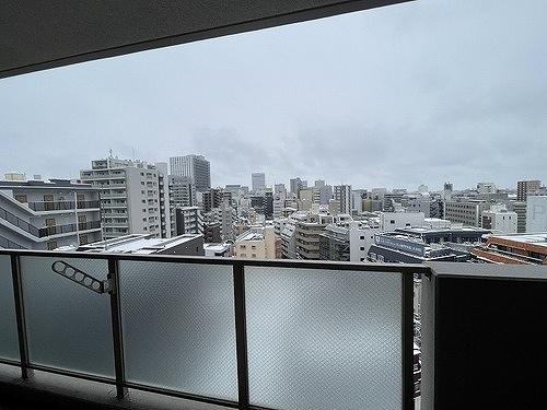 ライオンズマンション大宮高鼻町11階 眺望