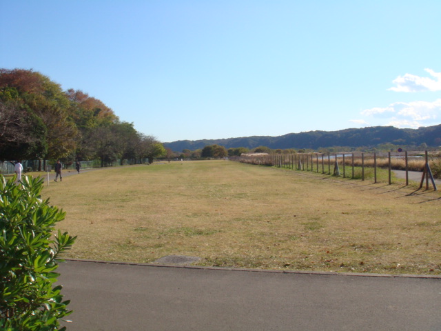 メビウス 多摩川緑地福生南公園まで621ｍ
