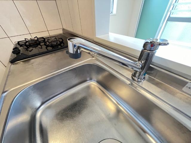 カーロ　オルテンシア　caroortensia201号室 シャワー水栓（イメージ）