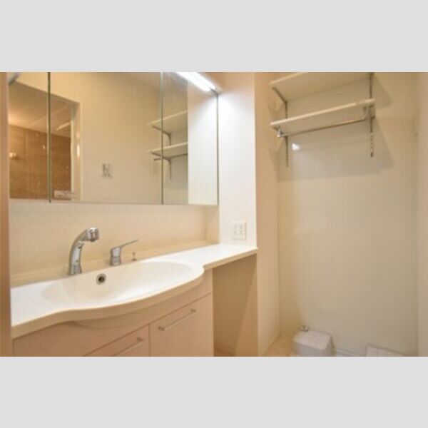 ルミエール本厚木 洗面室