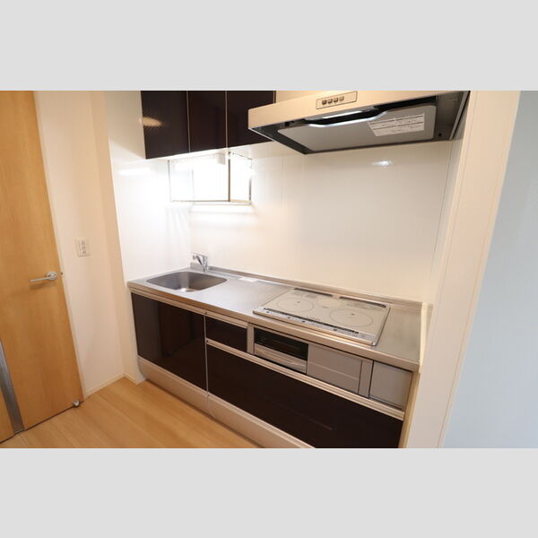 ロータス草加　Ⅱ108号室 システムキッチン