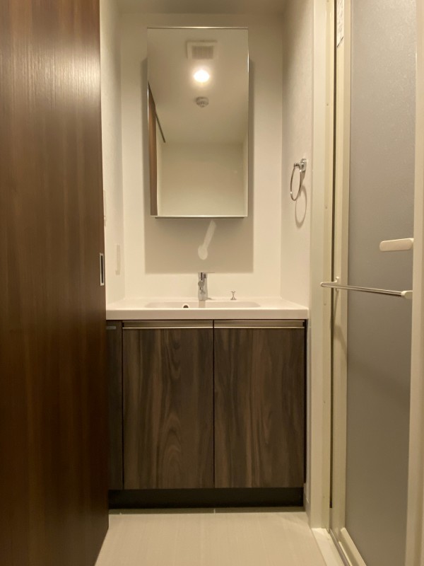 THE PALMS錦糸町 洗面