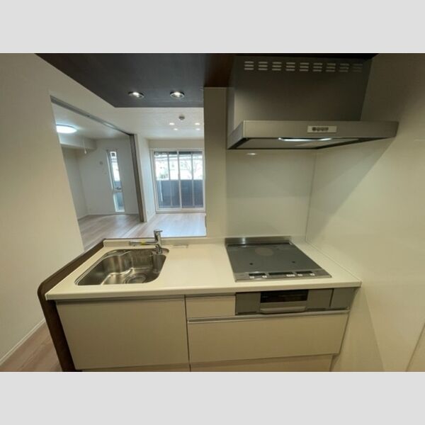 プランドール(富士見)207号室 システムキッチン