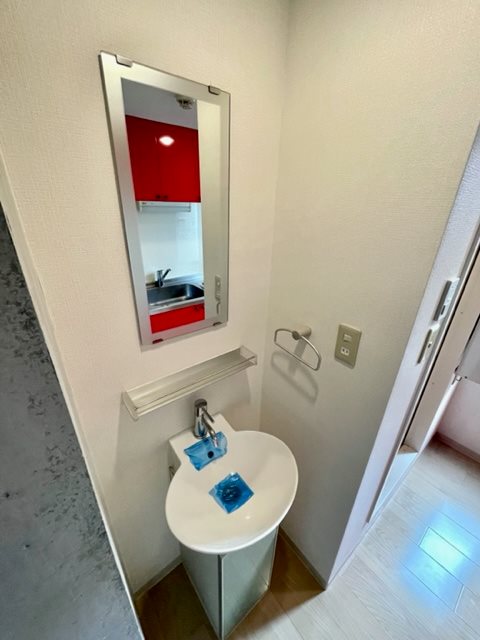 レジディア駒沢大学3階 洗面