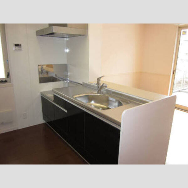 フェザント　A101号室 キッチン101