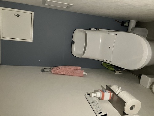 ヴェルドミール大和田1階 トイレ