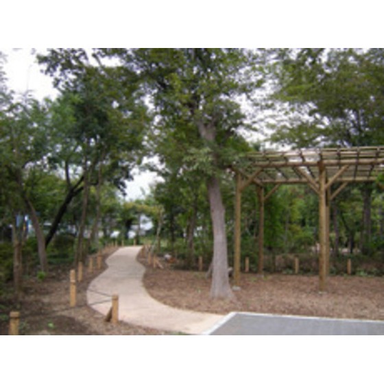 プランドール齊藤 周辺