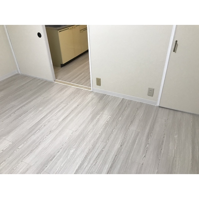 リエス伊勢原205号室 リビング